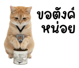 ลายที่ 41