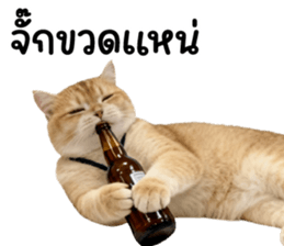 ลายที่ 43