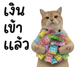 ลายที่ 47