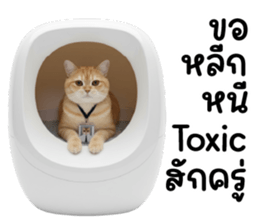 ลายที่ 51