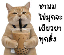 แมวส้มส้ม ❤️ ตัวตึงออฟฟิศ รูปที่ 30