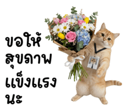 แมวส้มส้ม ❤️ ตัวตึงออฟฟิศ รูปที่ 32