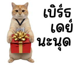 ลายที่ 65