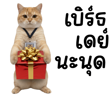 ลายที่ 33
