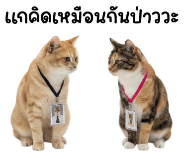 ลายที่ 34