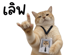 ลายที่ 69