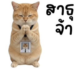 ลายที่ 73