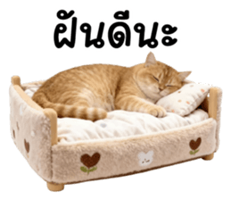 ลายที่ 79