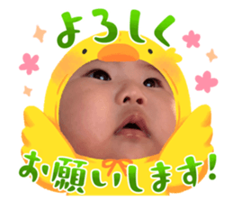 795331386