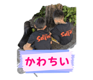 795331586