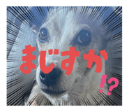 795331973