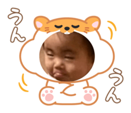 795335600