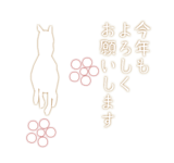 795337681