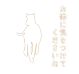 795337686