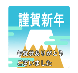 795337737