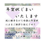 795337739