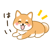 795341096