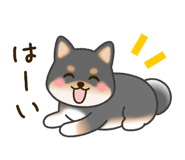 795341120