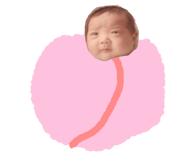 795344787