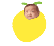 795344788