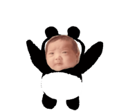 795344809