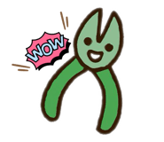 795345731