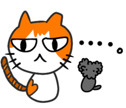 795349215