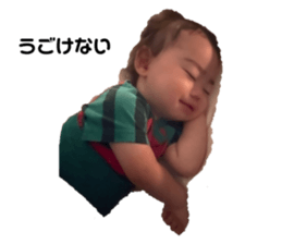795351755