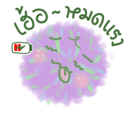 795357725