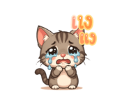 795360073