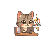 795360081