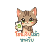 795360084