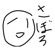 795374646