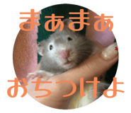 795376259