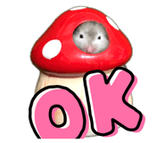 795376260