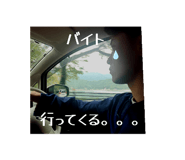 795384095