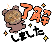795384897