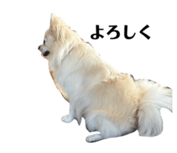 795385489