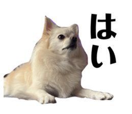 795385491
