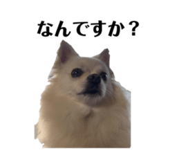 795385494