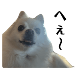 795385496