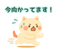 795396338