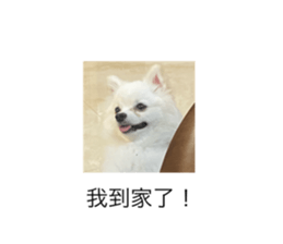 795398337
