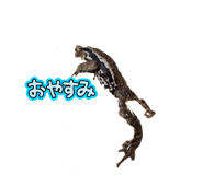 795402521