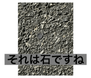 795402644