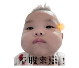795404455