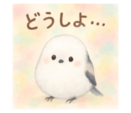 795408191