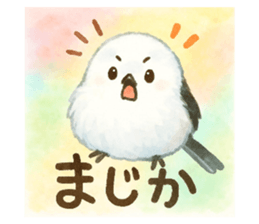 795408207