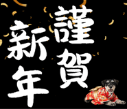 795408917