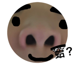 795414710